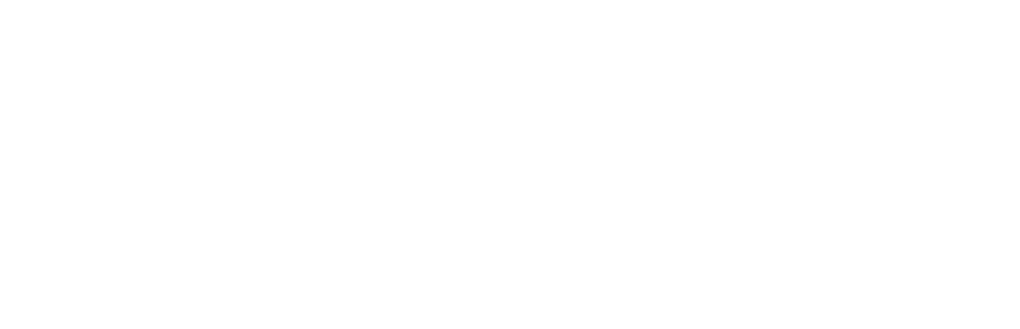 deidentified.ai logo